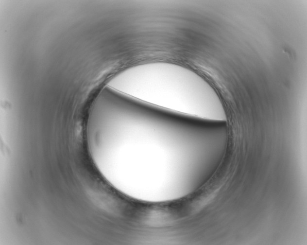 X0000091230308200708091118