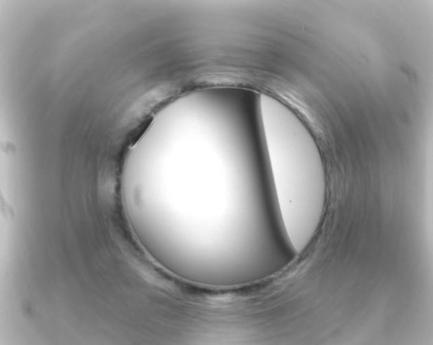 X0000091230309200708091118
