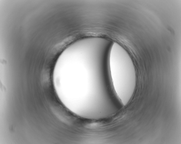 X0000091230312200708091118