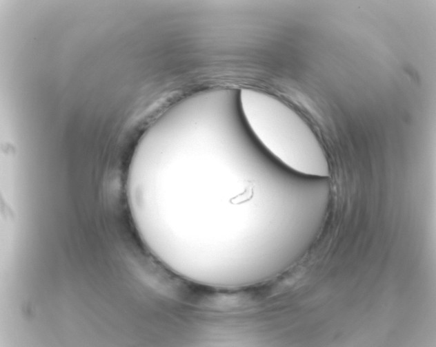 X0000091230314200708091118