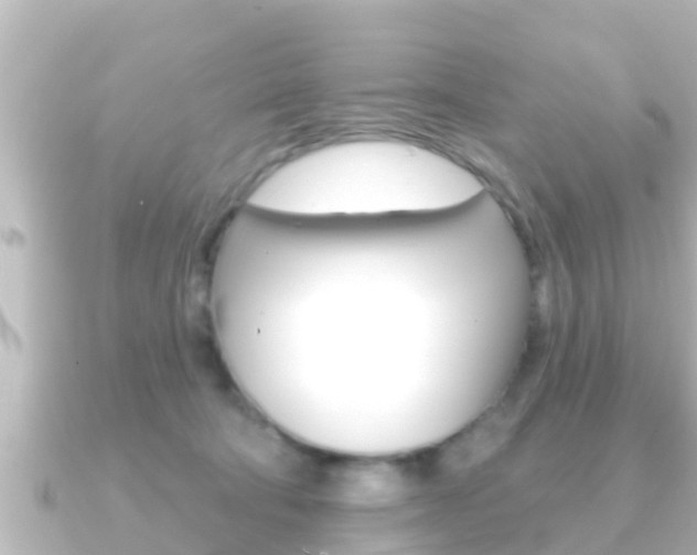 X0000091230322200708091118