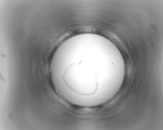 X0000091230326200708091118