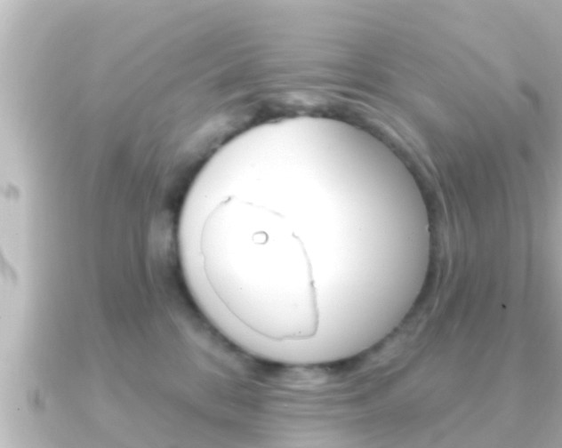 X0000091230328200708091118