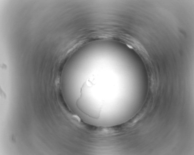 X0000091230329200708091118