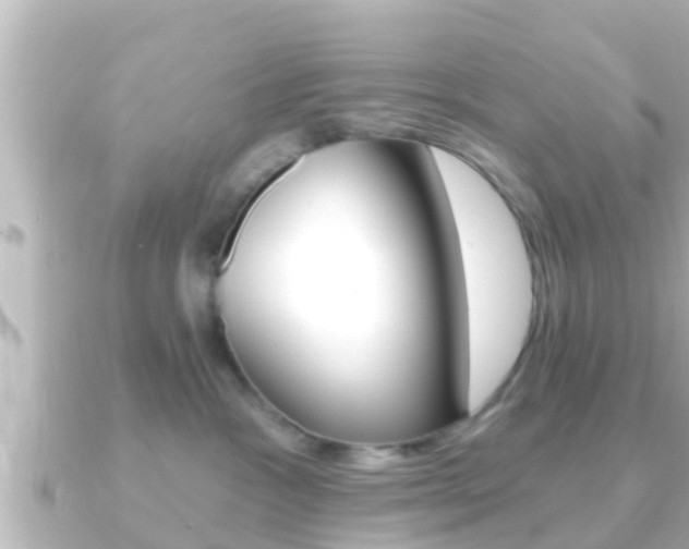 X0000091230333200708091118