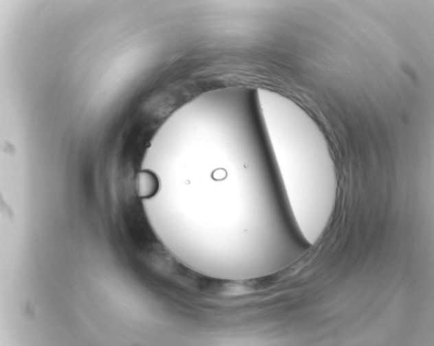 X0000091230335200708091118