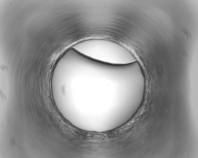 X0000091230337200708091117
