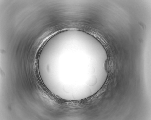 X0000091230338200708091117