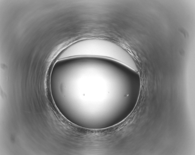 X0000091230340200708091117