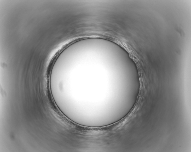 X0000091230342200708091117
