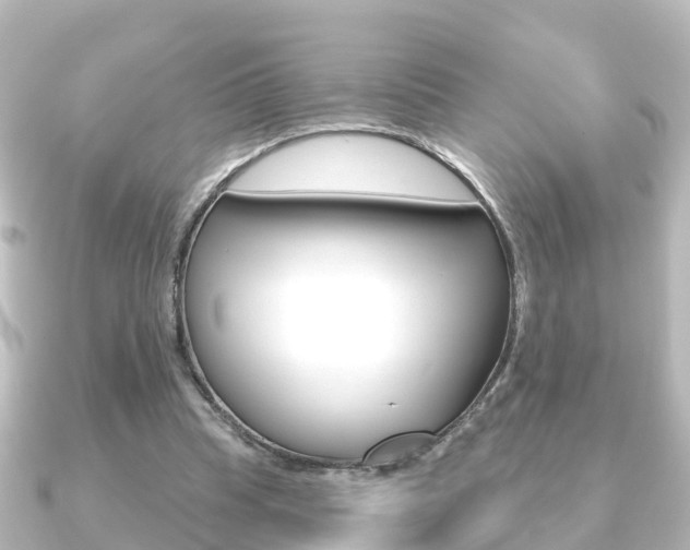 X0000091230345200708091117
