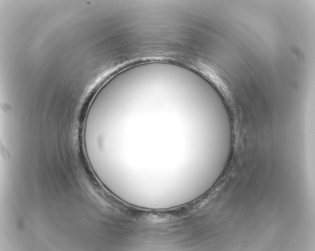 X0000091230346200708091117