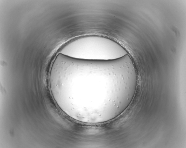 X0000091230347200708091117