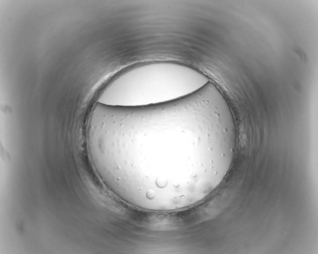 X0000091230351200708091117