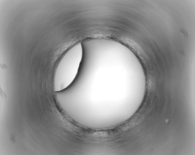 X0000091230353200708091117