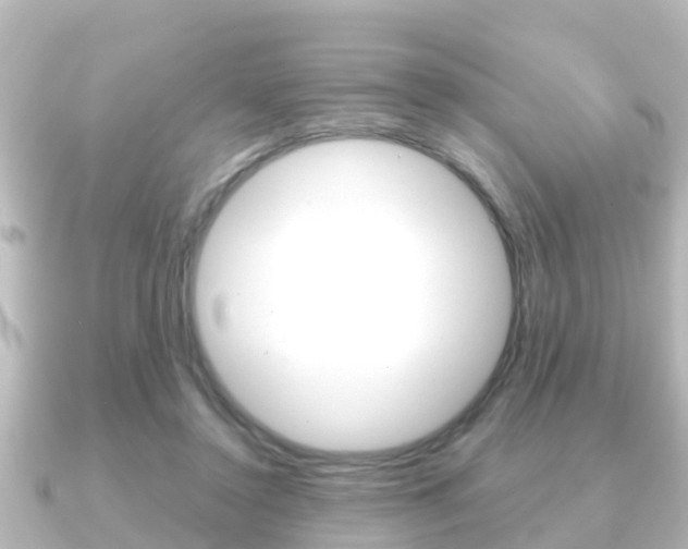 X0000091230356200708091117