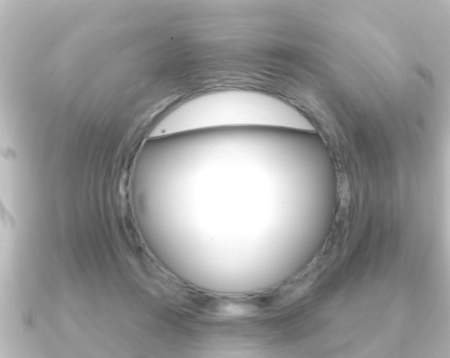 X0000091230360200708091117