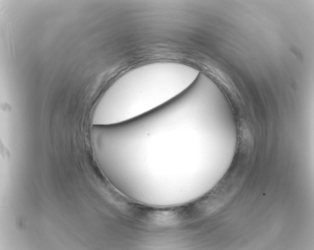 X0000091230361200708091117