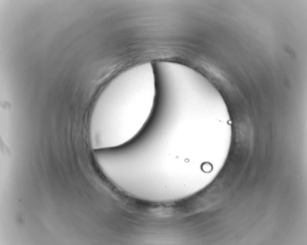 X0000091230362200708091117