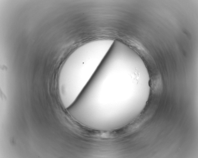 X0000091230365200708091117