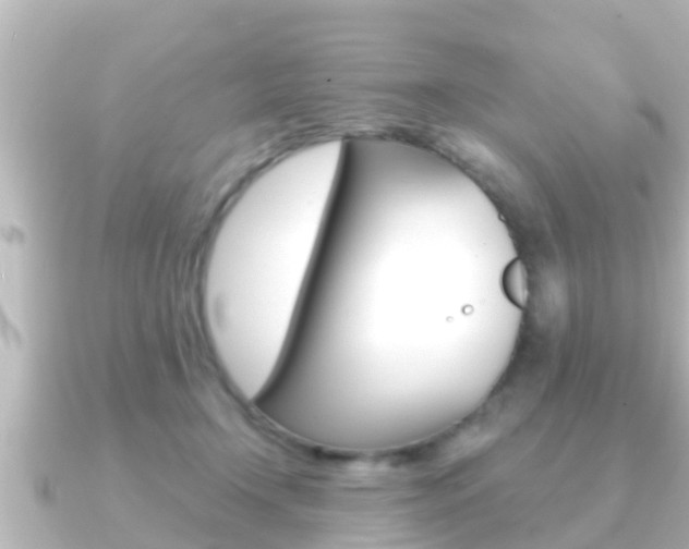 X0000091230366200708091117