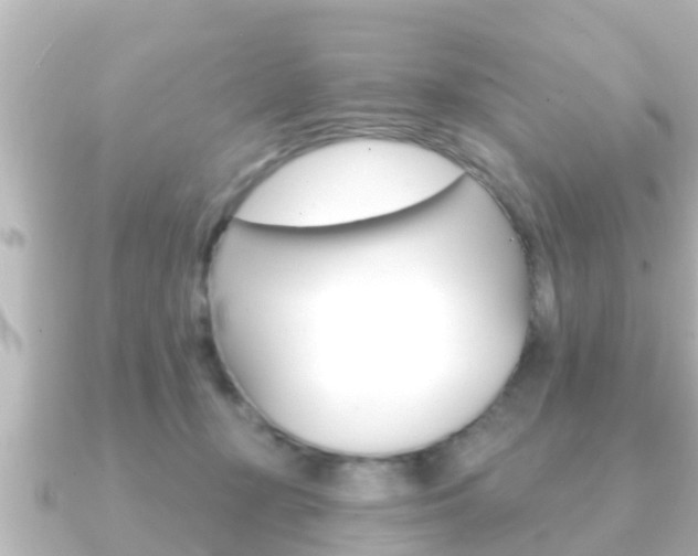 X0000091230367200708091117