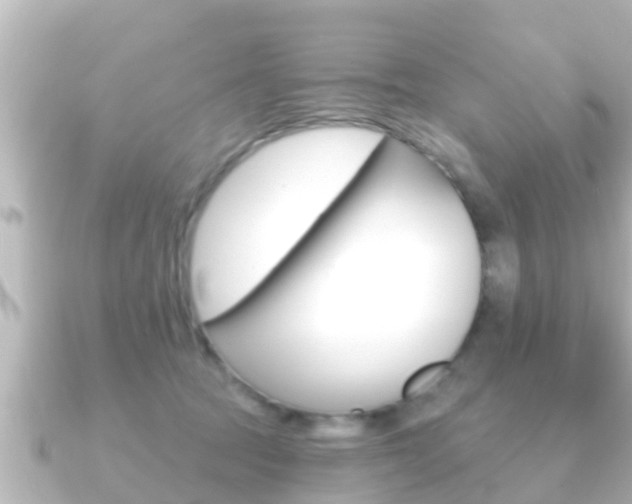 X0000091230369200708091117