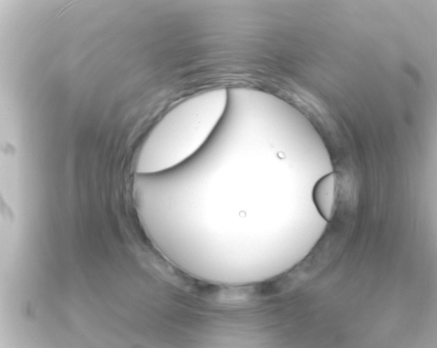 X0000091230373200708091117