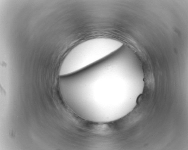 X0000091230374200708091117