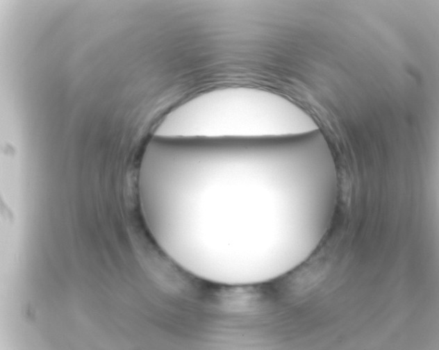 X0000091230378200708091117