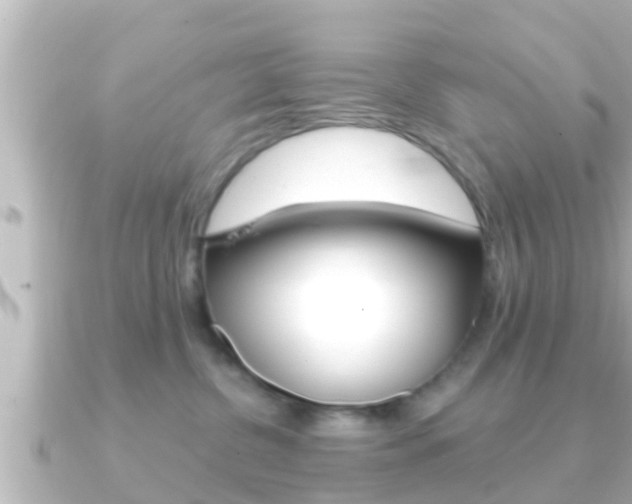 X0000091230380200708091118