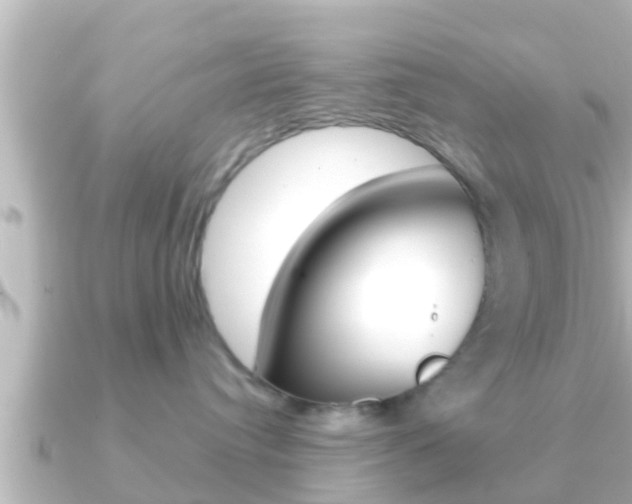 X0000091230384200708091118