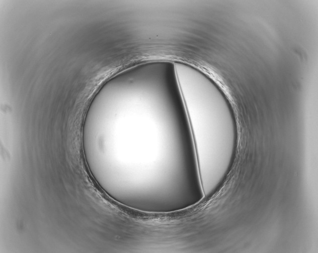 X0000091230385200708091117