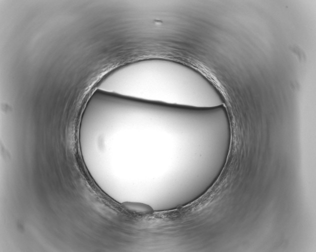 X0000091230386200708091117