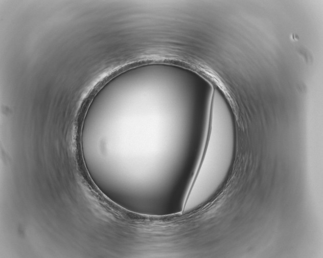 X0000091230387200708091117