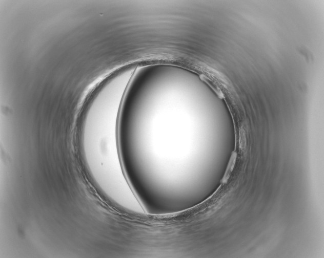 X0000091230388200708091117