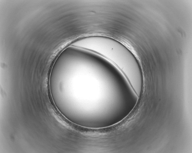 X0000091230389200708091117