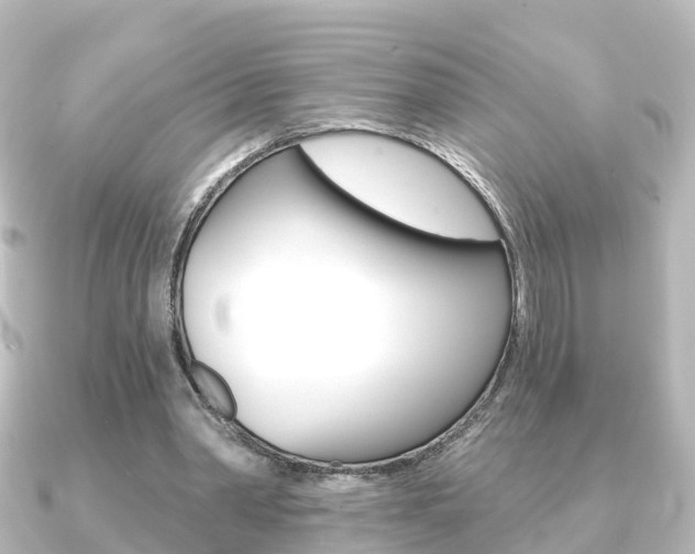 X0000091230390200708091117