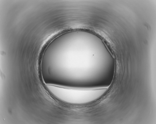 X0000091230391200708091117