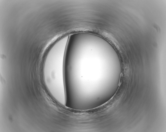 X0000091230395200708091117