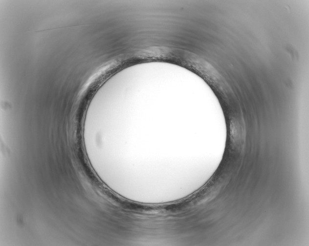 X0000091230396200708091117