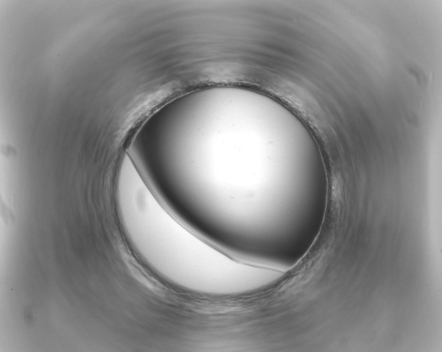 X0000091230397200708091117