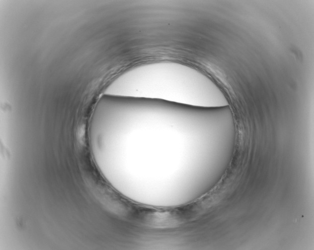 X0000091230406200708091117