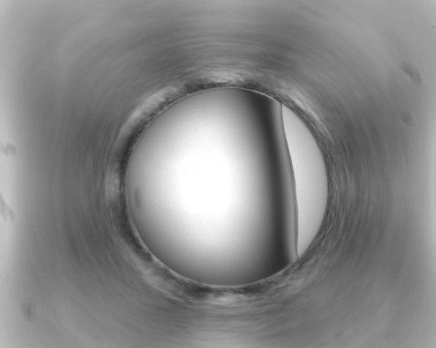 X0000091230407200708091117