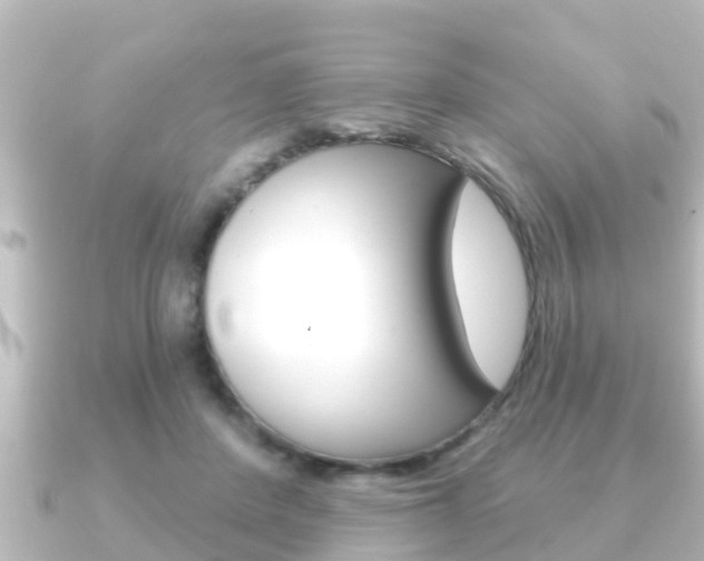 X0000091230408200708091117