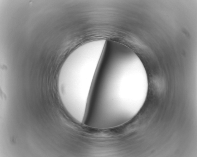 X0000091230412200708091117