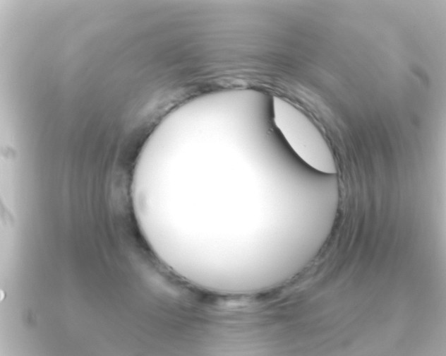 X0000091230414200708091117
