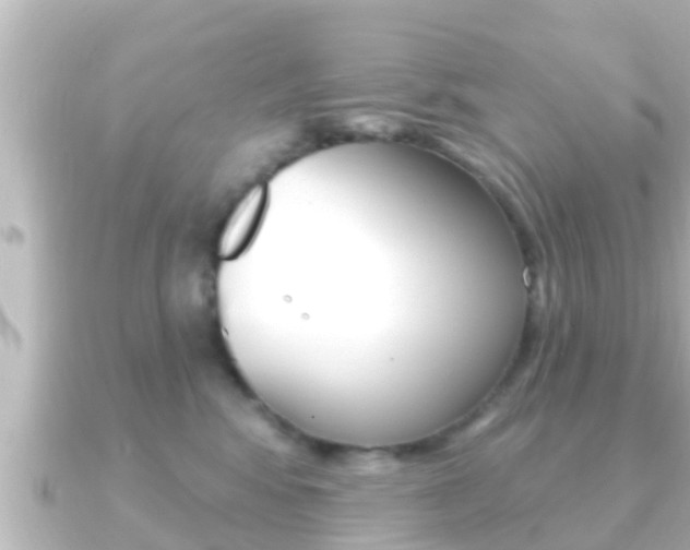 X0000091230424200708091117