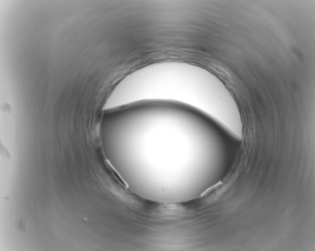 X0000091230429200708091117