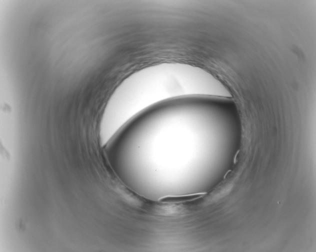 X0000091230432200708091116